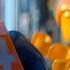 The LEGO Movie Everything Is Awesome Clip Warner Bros Entertainment