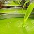 How It S Made Olive Oil Bread Avocado Oil Sea Salt Flakes