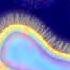 Animation Of Antimicrobial Resistance