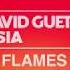 David Guetta Feat Sia Flames LYRICS