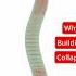 The Real Reason Buildings Fall Shorts Civilengineering Construction Column Building Concrete
