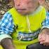 Cubis The Monkey Unexpectedly Picks Up A Dropped Wallet What Will He Do