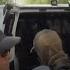 ICE Arrests Outside Immigration Courts Spark Due Process Concerns