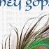 Hey Govinda Hey Gopala Mahamantra