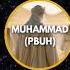 Prophet Muhammad Ancient Torah Scrolls Predicted His Arrival