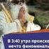 В 3 40 утра происходит нечто феноменальное