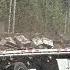 70 000 Pounds Of Bees Escape After Semi Overturns In Whatcom County WA