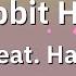 Rabbit Hole DECO 27 Feat Hatsune Miku Romaji Karaoke With Guide