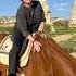 Horse лошадь красавица