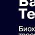 Биохакинг твоего тела Валихан Тен