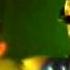 Paffendorf Where Are You 1999