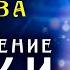 Матрица Гаряева Регенерация Кожи Мгновенное Омоложения Лица Квантовое Исцеление Кожи Звуком