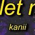 Kanii Sins Let Me In Sped Up Lyrics