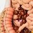 Illustration Of Large Intestine And Constipation Health AI Art 07