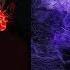 The Alley Cats VS Satan Love Death Robots Netflix