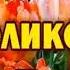 Стихотворение Письмо отца А Дементьев