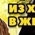 Аудиокнига ПОПАДАНЦЫ ИЗ ХИЩНИКА В ЖЕРТВУ