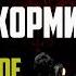 СТРАШНЫЕ ИСТОРИИ СТАРУХА СОСЕДКА КОРМИТ НЕЧТО ЖУТКОЕ В ПОДЪЕЗДЕ СТРАШИЛКИ НА НОЧЬ