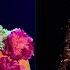 Alyssa Edwards Coco Montrese S Cold Hearted Lip Sync Rupaul S Drag Race