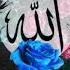 Arabic Nasheed Anam