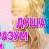 4 Типа психики