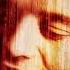 Maxi Priest Wild World