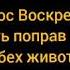 Тропарь Пасхи мужской вокальный ансамбль Валаам