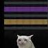Cat Sadcat Catdance Catdancing Satisfying Beatball Ballbreaker