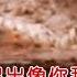 张书瑶 可可托海的牧羊人 女声版 伴奏 KTV 导唱字幕