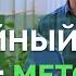 Урожайный огород метод Миттлайдера Технология изобилия