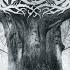 Chalice Of Morrow