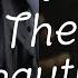 The Beautiful Christina Aguilera Vs Brandi Carlile Mashup