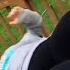 Hilarious Fails That Will Break You Best Fails Of The Week