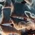 Watch As The Cursed Ship Emerges From The Storm Trending Aiart Scifi Midjourney