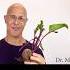 Beetroot The Natural Heart Protector Drmandell Health Beetroot Heart
