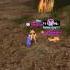 Lineage 2 KnockD0wn Mystic Muse PvP