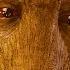 We Are Groot Groot S Sacrifice Scene Guardians Of The Galaxy 2014 Movie Clip HD