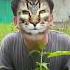 Kucing Minta Susu