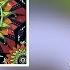 Blastoyz Whiteno1se Yanomami Psytrance