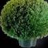 Kr1st1an Mnsay Ronin Green Bush