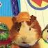 Wonder Pets The Wonder Pets Official Audio