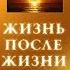 О книгах Р МОУДИ Жизнь после Жизни и др