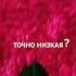 Адель Аделья Айлин