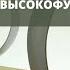 Защита личных границ как эмоциональный труд высокофункцинального созависимого