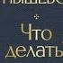 Либеральный домострой или роман Чернышевского Что делать