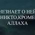 Есть ли у тебя секрет с Аллахом Прекрасное чтение Корана