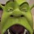 Shrek Filter