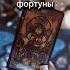 Ваш статус опасная женщина магия таролог таро гадание
