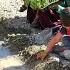 Salahadin Helps Settle Usoldin In The Mountains With Water Tank Solar Panel And Garden Prep