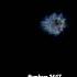 The Star Of Jacob Star Jacob